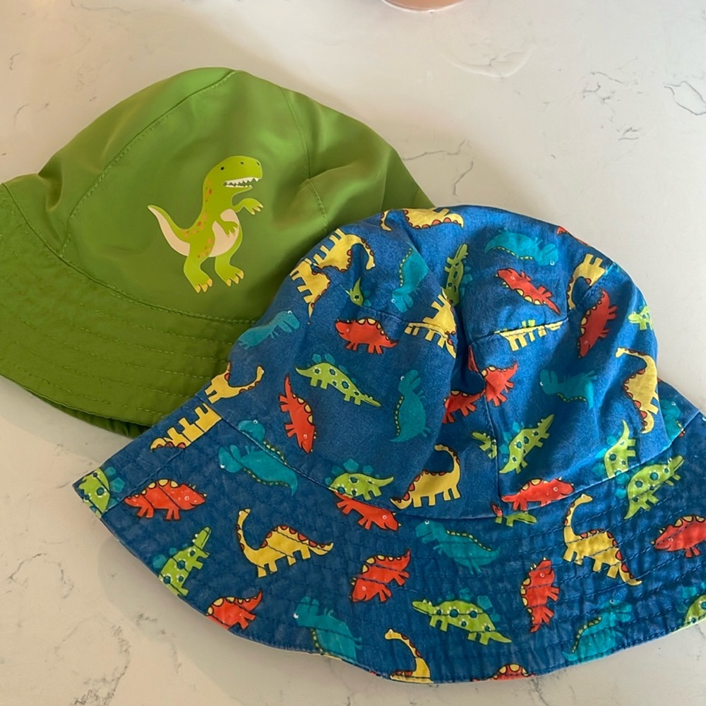 Dinosaur Bucket Hats